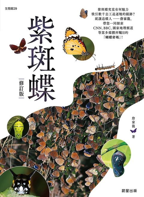 紫斑蝶-修訂版