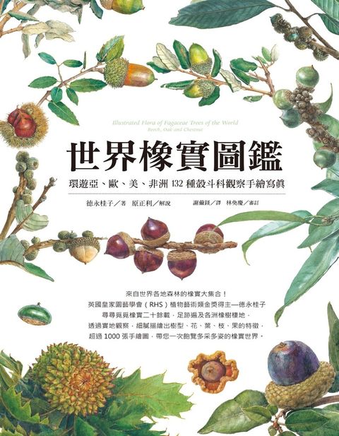 世界橡實圖鑑：環遊亞、歐、美、非洲132種殼斗科觀察手繪寫真