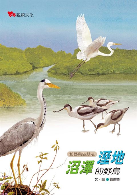 溼地沼澤的野鳥