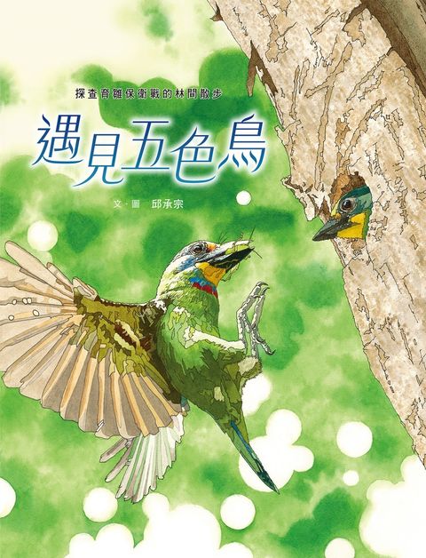 遇見五色鳥：探查育雛保衛戰的林間散步