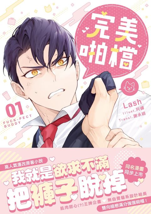 完美啪檔 01 小說 (限制級)（Pubu電子書）