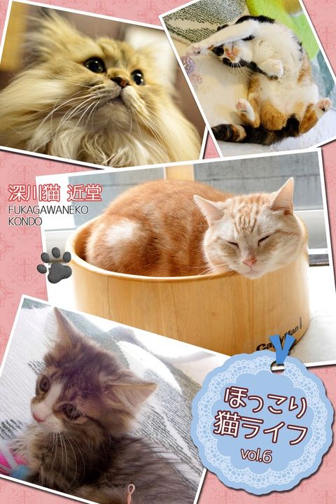 匸ⅲえ猫ェさゆ vol.6