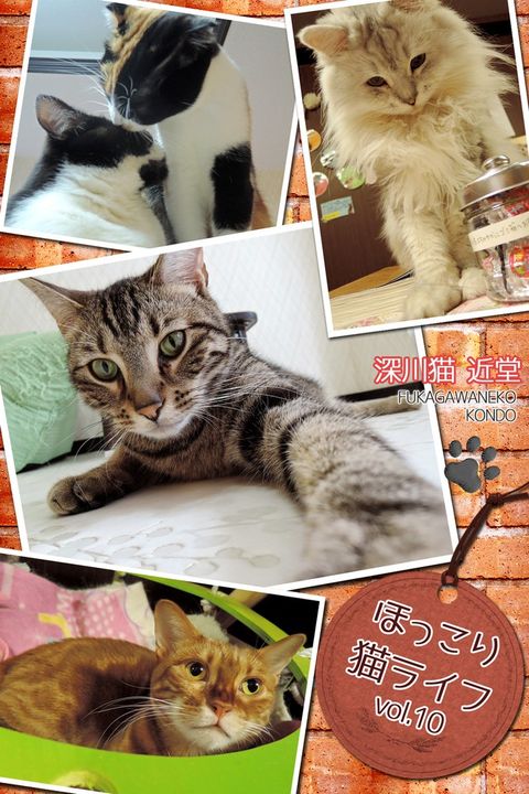 匸ⅲえ猫ェさゆ vol.10