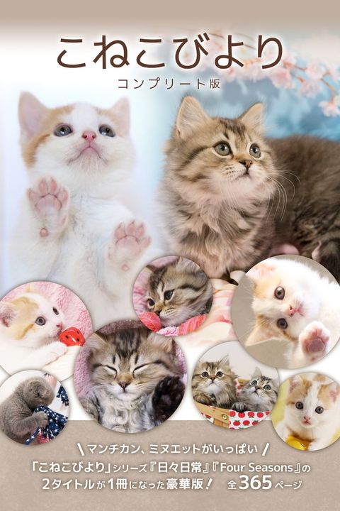 ⅲ彡ⅲうえつケよエーべ版