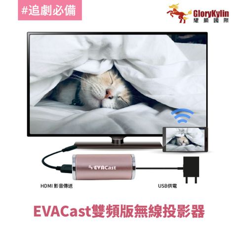 GKI 耀麟國際 EVACast 手機無線投影 支援AirPlay