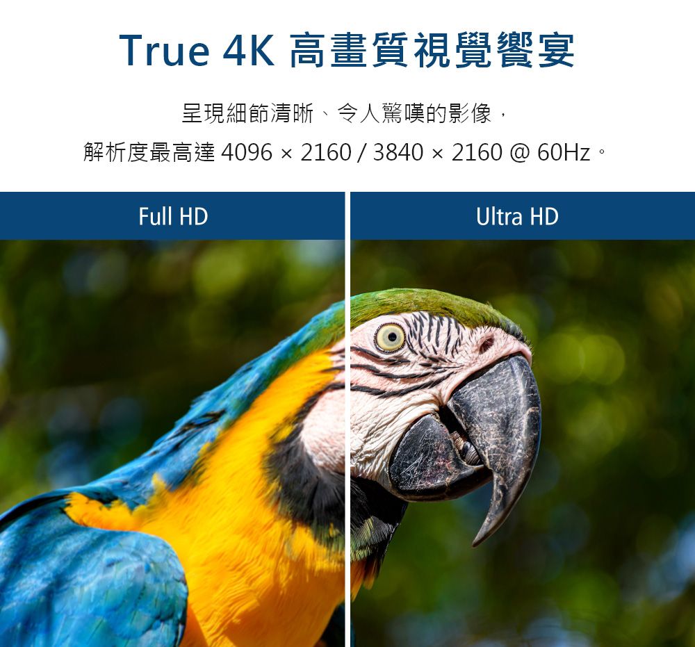 ATEN VS184B HDMI 4分配器(True 4K対応) :20230924063853-01911