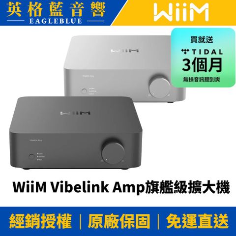 WiiM Vibelink Amp