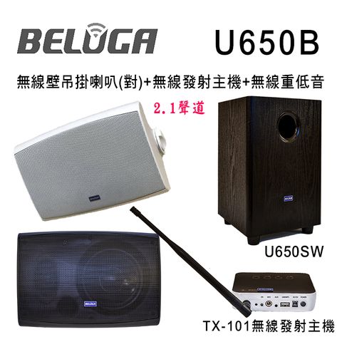 U650B 無線壁掛喇叭2.1重砲組(含標配組+無線超低音U650SW)