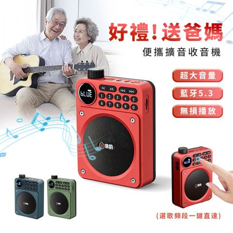 Mass 便攜藍牙收音機｜FM收音+擴音播放器（USB充電TF卡播放器)