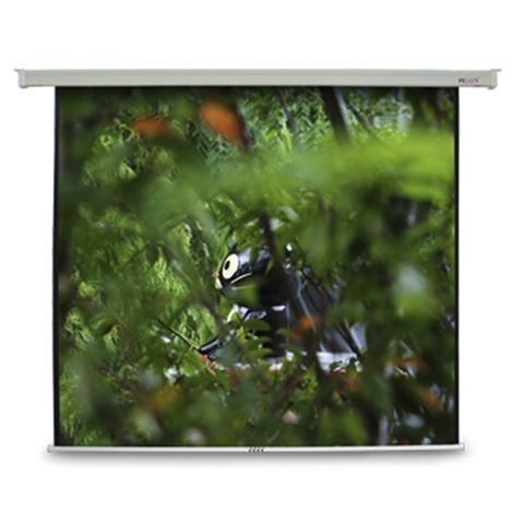 PENNY PS-120(4:3)方型電動幕