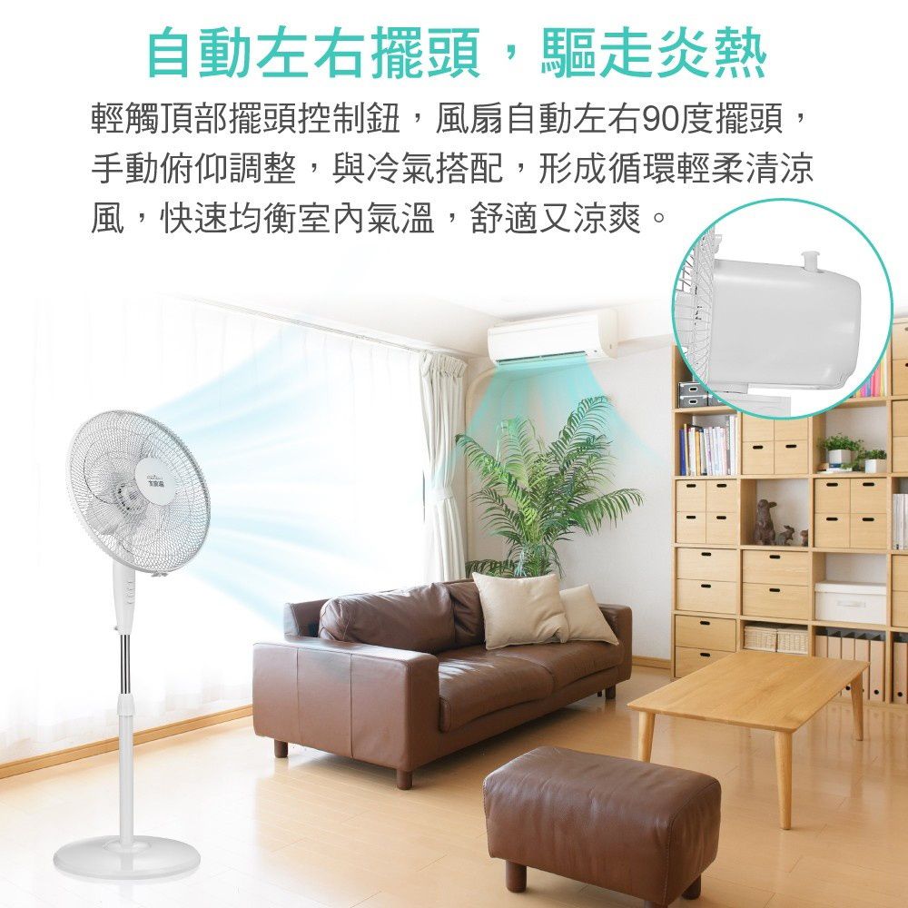 大家源 TCY-851601 - 詳情5