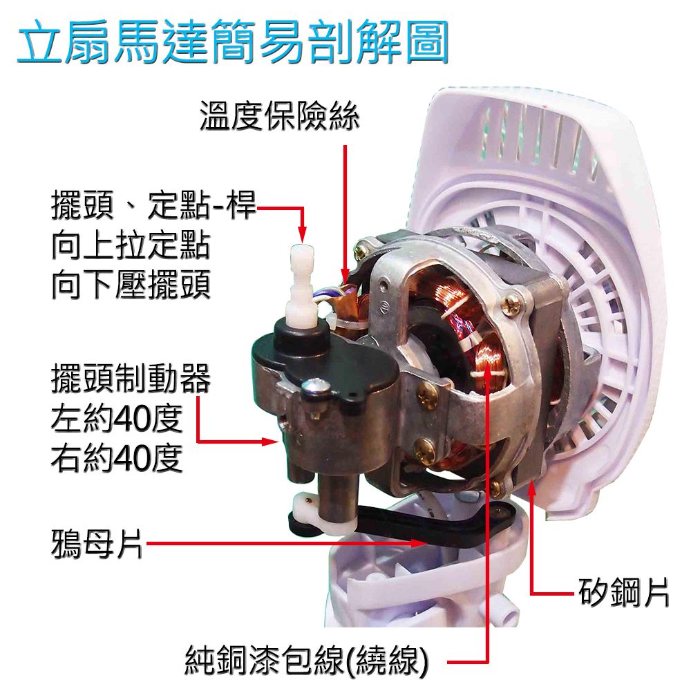 立扇馬達簡易剖解圖溫度保險絲擺頭、定點桿向上拉定點向下壓擺頭擺頭制動器左約40度右約40度鴉母片純銅漆包線(繞線)-矽鋼片