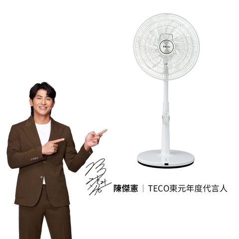 TECO東元 14吋DC馬達遙控立扇 XA1417BRD