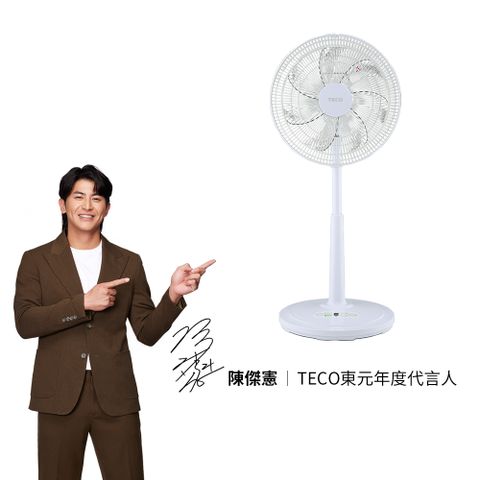 TECO 東元 16吋DC馬達ECO智慧溫控遙控擺頭立扇 XA1626BRD