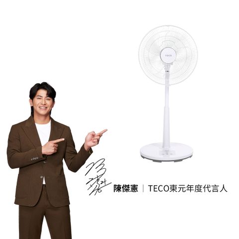 TECO東元 14吋DC馬達遙控立扇 XA1428BRD 