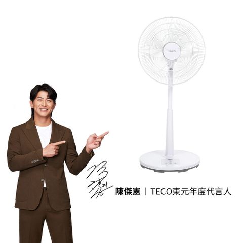 TECO 東元 16吋DC馬達遙控立扇 XA1665BRD