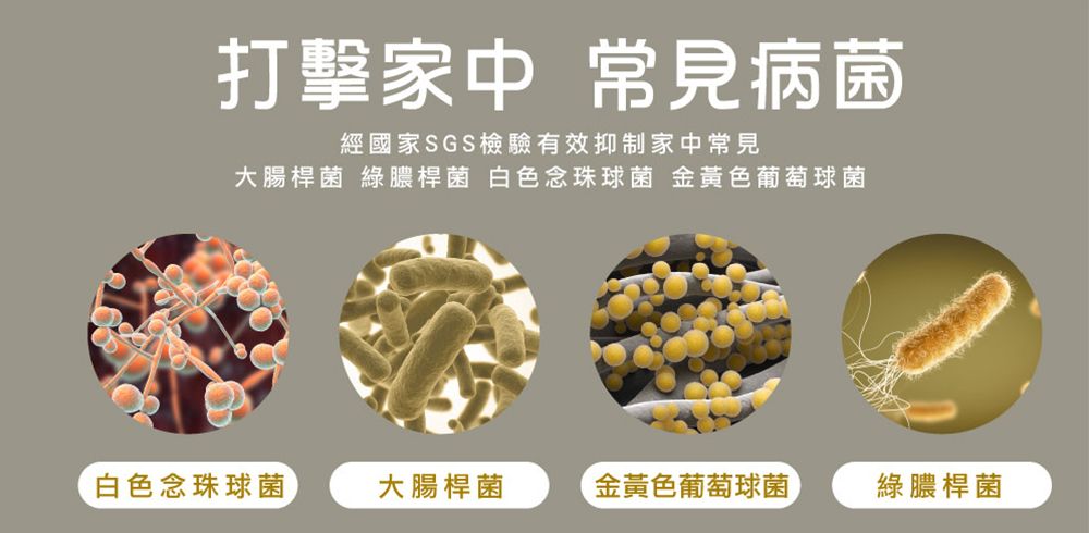 打擊家中 常見病菌經國家 SGS檢驗有效抑制家中常見大腸桿菌 綠膿桿菌 白色念珠球菌 金黃色葡萄球菌白色念珠球菌大腸桿菌金黃色葡萄球菌綠膿桿菌