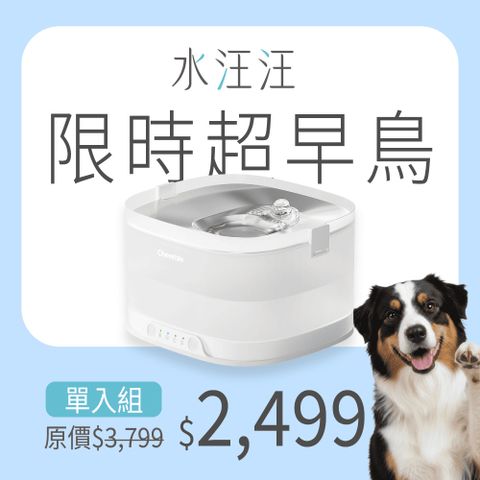 Cheerble「無水泵」寵物智慧飲水機 - 水汪汪限時超早鳥優惠