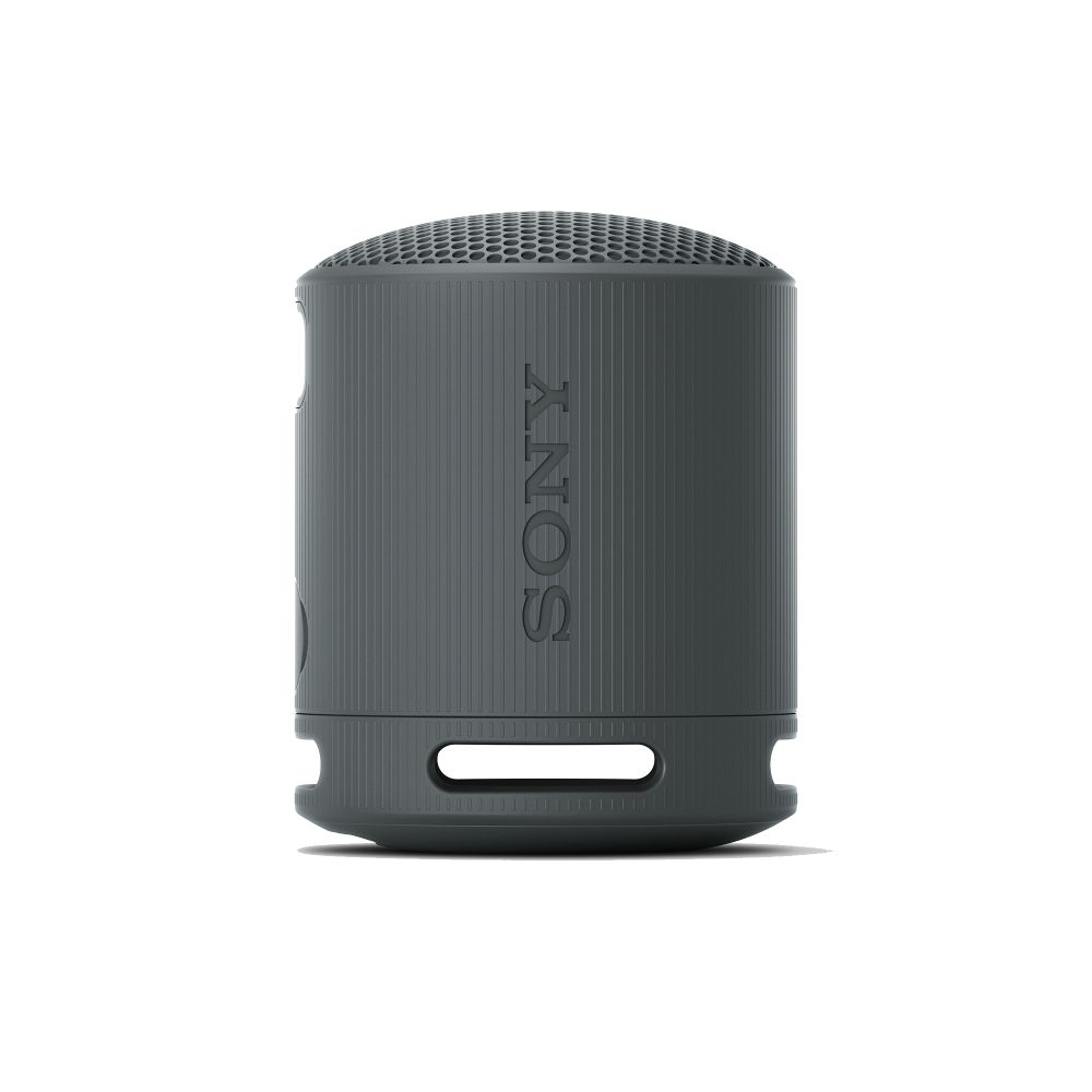 SONY 索尼   SRS-XB100 可攜式防水防塵 無線 藍芽喇叭