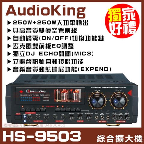 AudioKing HS-9503 綜合擴大機 250W+250W 專業|家庭兩用
