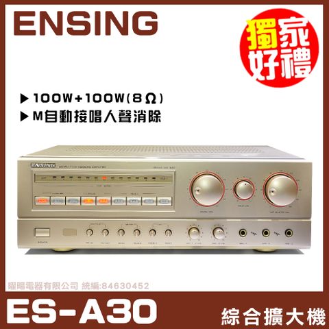 ENSING 燕聲 【 ES-A30】電子 家庭式超值經典紀念機種