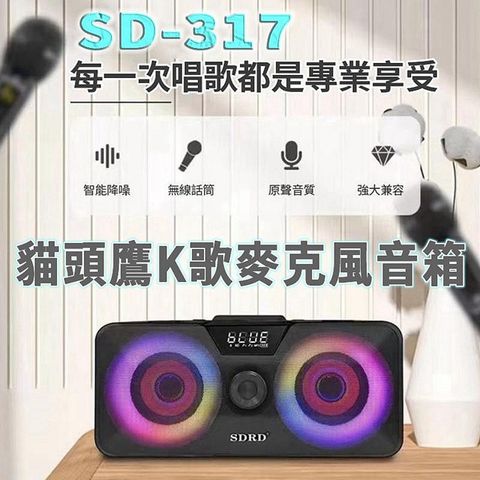SD317 K歌一體麥克風音箱