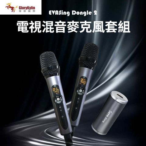 GKI 耀麟國際 EVASing Dongle 電視專用混音麥克風套組