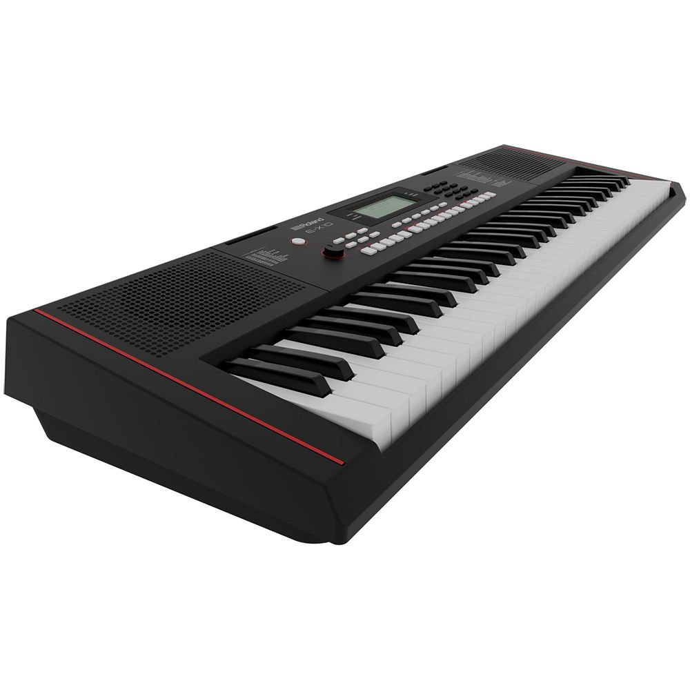 Roland 樂蘭 61鍵自動伴奏電子琴 E-X10 / 公司貨保固