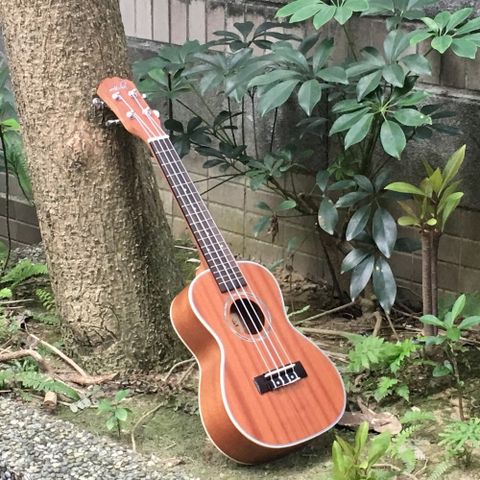 Ukulele 烏克麗麗 『Aloha』23吋桃花心木 / 推薦入門款 / UK-400