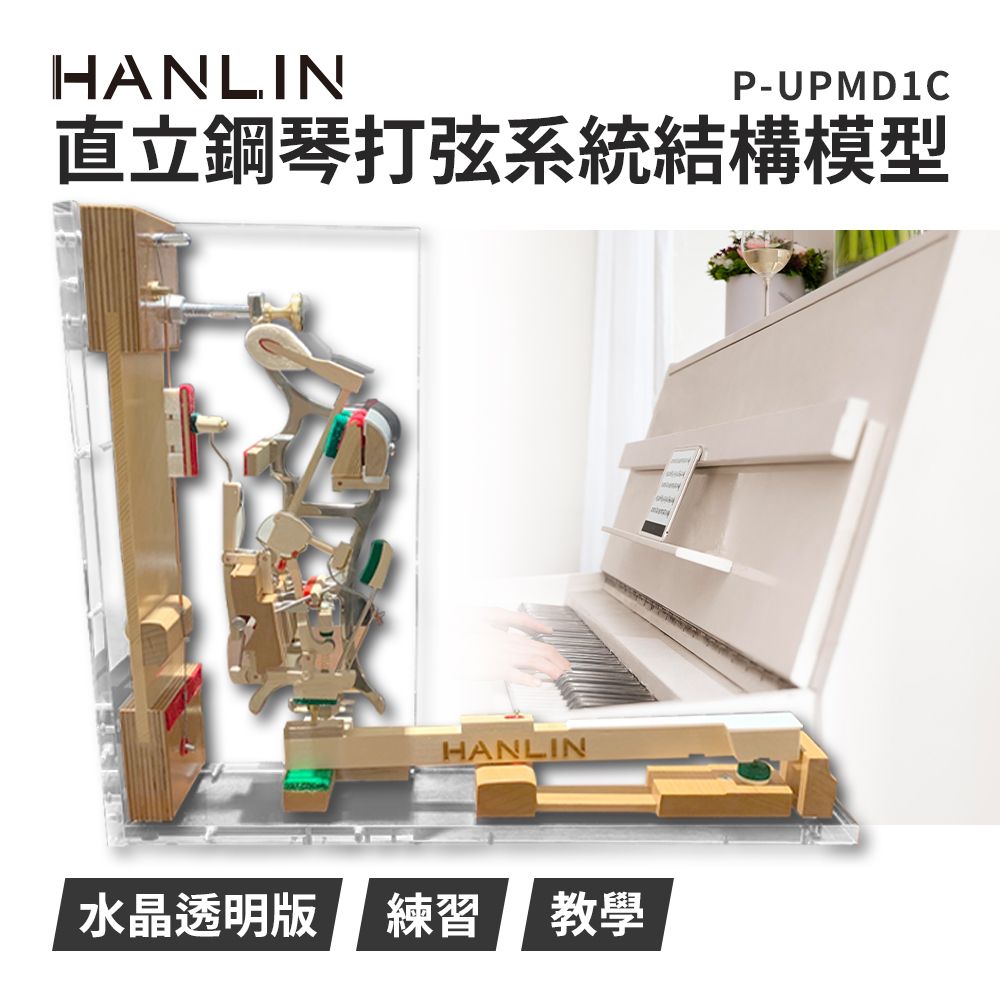 HANLIN  直立鋼琴打弦系統結構模型