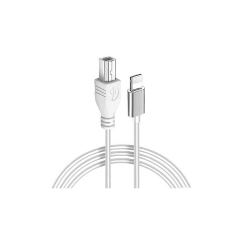 OTG傳輸線 Type-B to Lightning 可連接 電子鼓 電子琴 電鋼琴