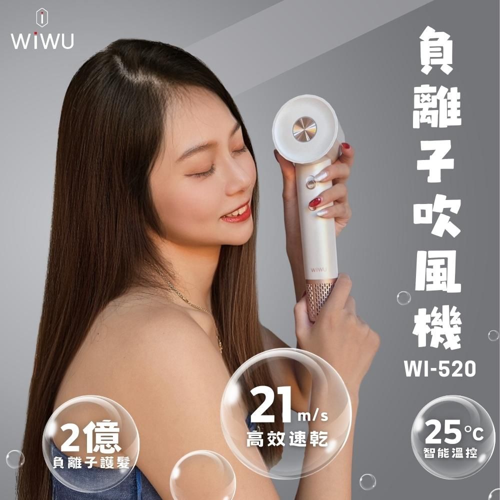 WiWU 負離子高速吹風機 WI-520