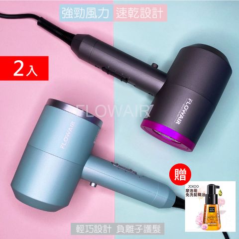 2入組【FLOWAIR】沙龍級負離子吹風機 速乾科技 護髮 降噪 輕量吹風機(BSMI檢驗合格商品)