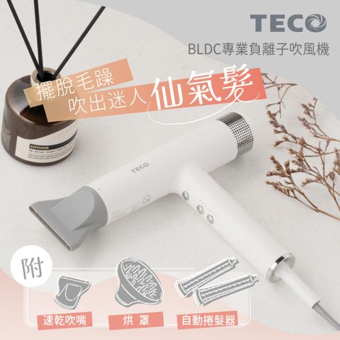 TECO 東元 BLDC專業負離子吹風機 XYFXZ003