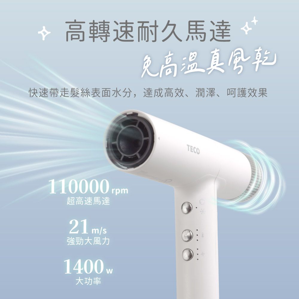 TECO 東元 BLDC專業負離子吹風機 XYFXZ003