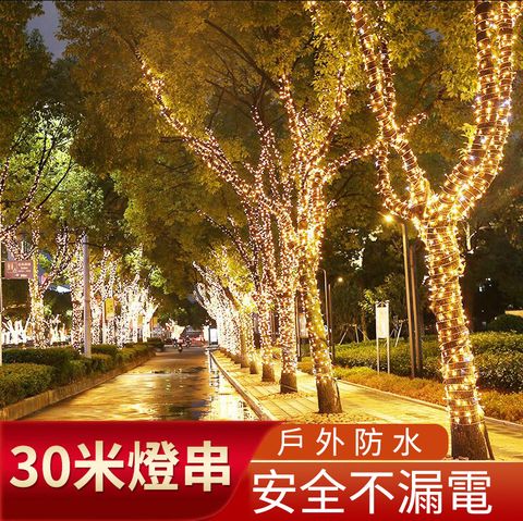 【居家家】戶外防水滿天星LED燈串組30米300燈(裝飾燈 節慶 聖誕節 氛圍燈)