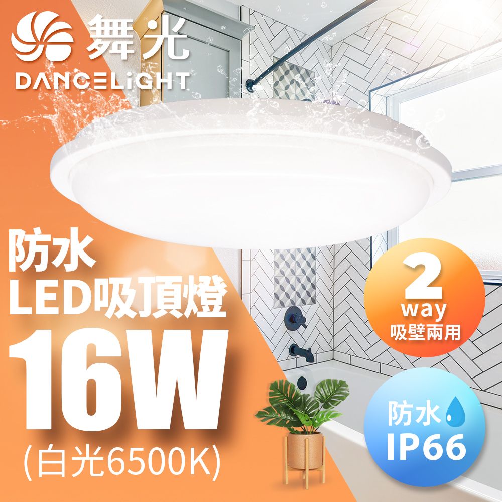 DanceLight 舞光 2-3坪防水吸頂燈16W IP66防塵 室內戶外兩用1入(白光/黃光)