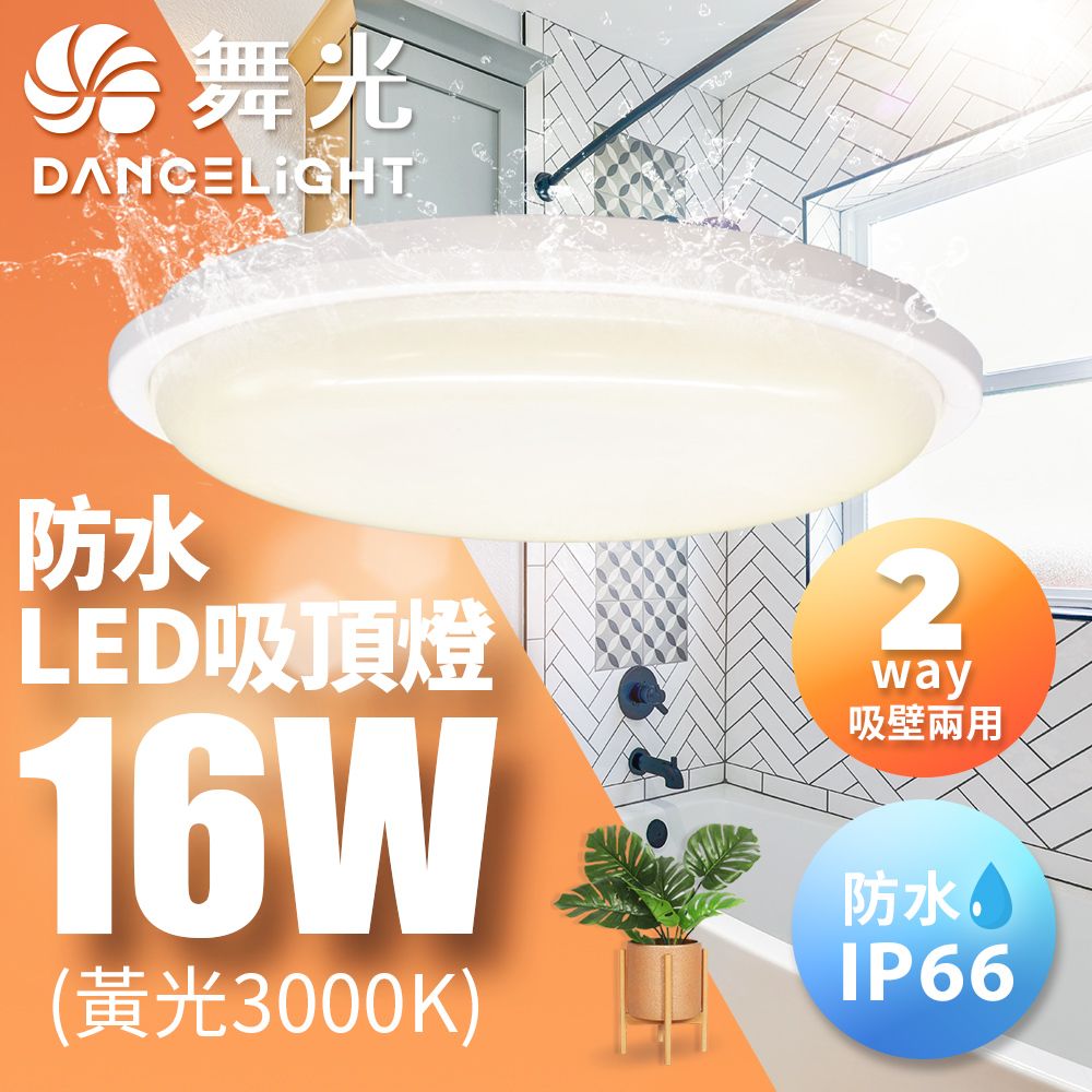 DanceLight 舞光 2-3坪防水吸頂燈16W IP66防塵 室內戶外兩用1入(白光/黃光)