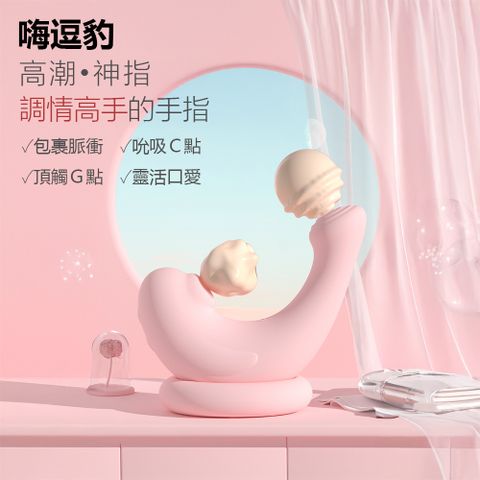 嗨逗豹