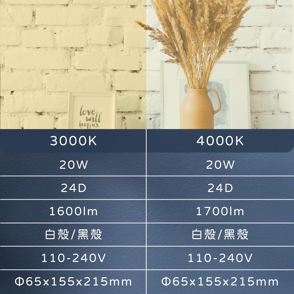 PHILIPS 飛利浦 LED ST033T 20W 黃光 自然光 33度 白殼 軌道燈 投射燈
