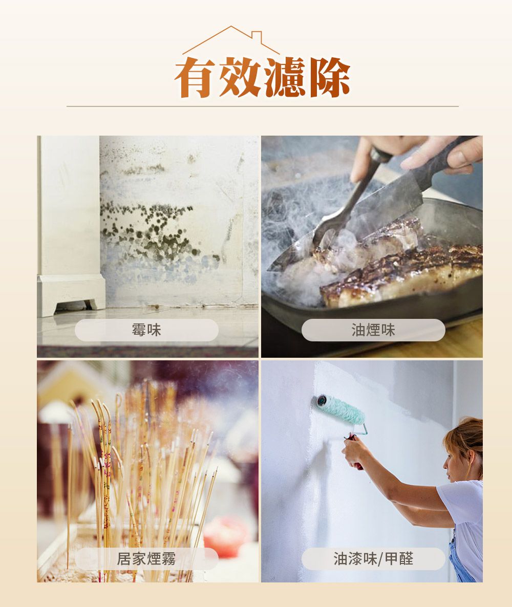 有效濾除霉味油煙味居家煙霧油漆味/甲醛