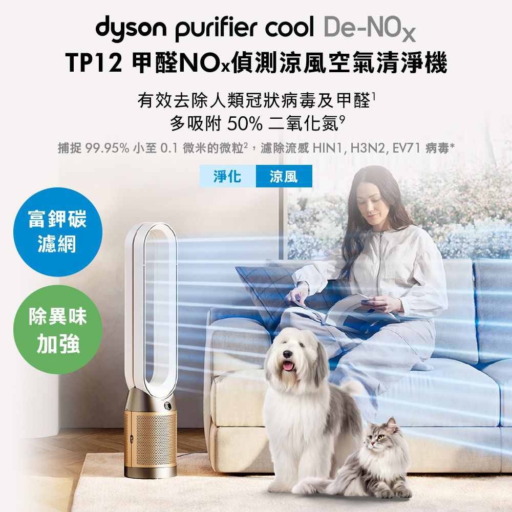 Dyson 戴森 Purifier Cool De-NOx​ 甲醛NOx偵測涼風空氣清淨機 TP12​(白金色)