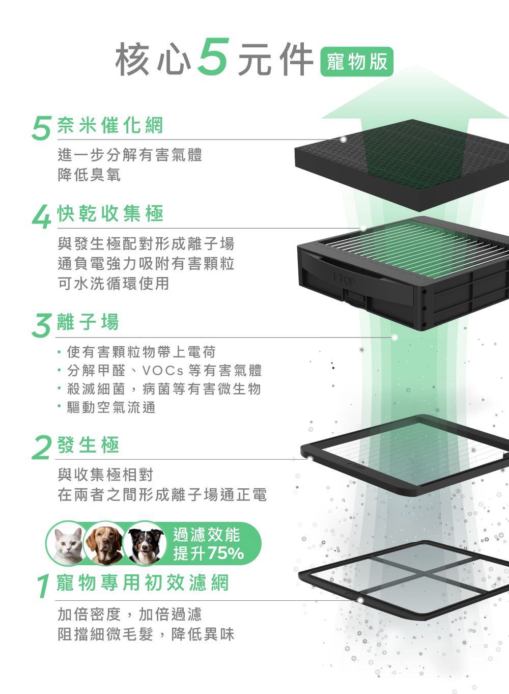 核心5元件 物版5奈米催化網進一步分解有害氣體降低臭氧4 快乾收集極與發生極配對形成離子場通負電強力吸附有害顆粒可水洗循環使用TOP 離子場使有害顆粒物帶上電荷分解甲醛、VOCs 等有害氣體殺滅細菌,病菌等有害微生物驅動空氣流通2發生極與收集極相對在兩者之間形成離子場通正電過濾效能提升5%7 寵物專用初效濾網加倍密度,加倍過濾阻擋細微毛髮,降低異味