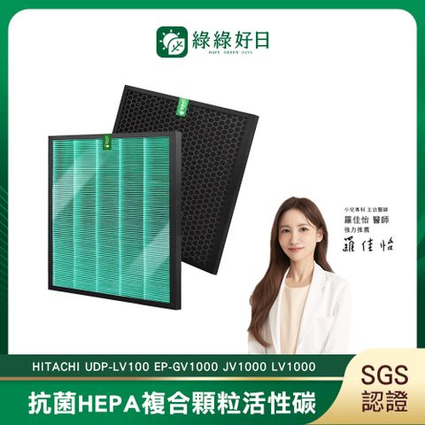 綠綠好日 適用 日立 HITACHI UDP-LV100 EP-GV1000 JV1000 抗菌 濾芯 蜂巢顆粒活性碳