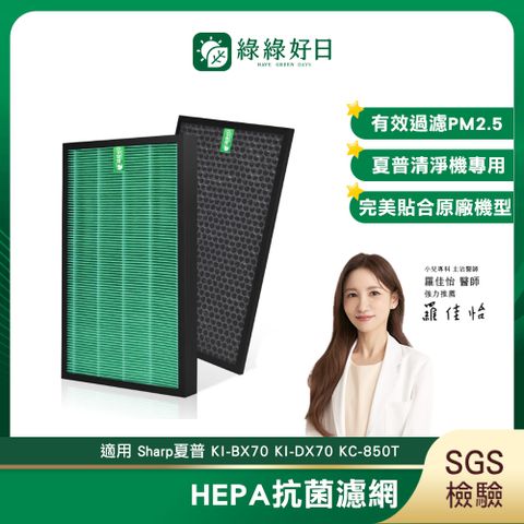綠綠好日 適用 SHARP 夏普 KC-B70 KC-850T KC-Y65 HEPA 抗菌濾芯 蜂巢顆粒碳 清淨除濕機