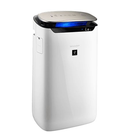 SHARP 夏普 PM2.5自動除菌離子空氣清淨機 FP-J80T-W