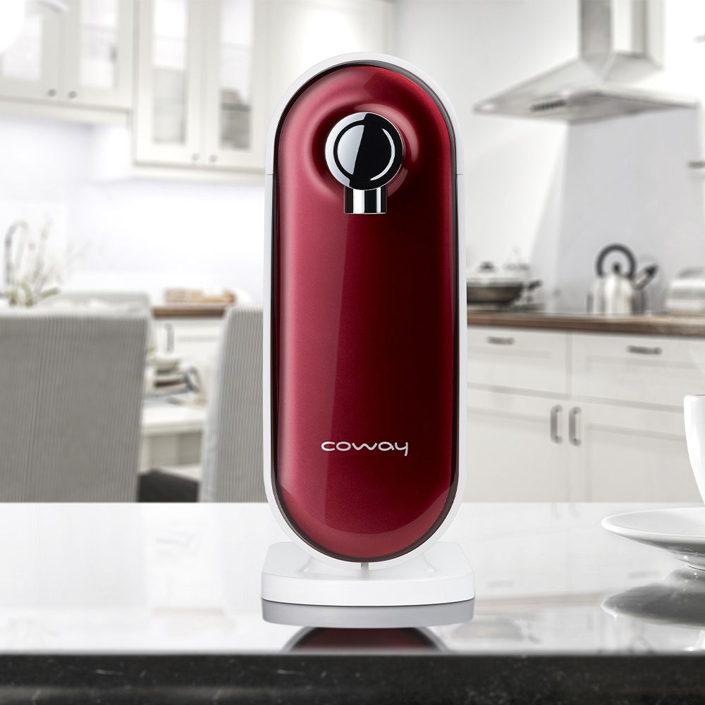 Coway 【福利品】 奈米高效淨水器 P-250N (桌上型)DIY組
