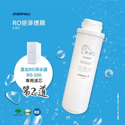 【EVERPOLL】RO-500、RO-600專用第二道RO逆滲透膜濾心/濾芯R-RO