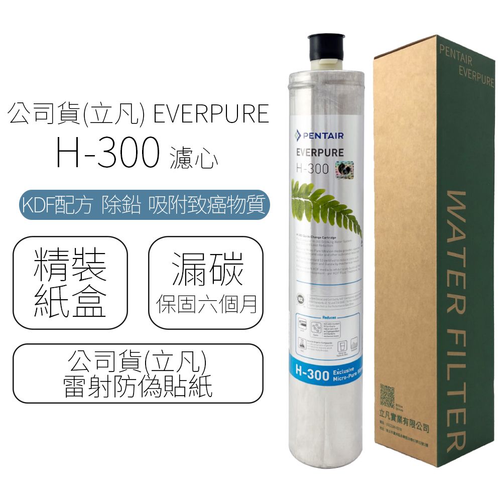  公司貨(立凡) EVERPURE H-300 / H300 濾心