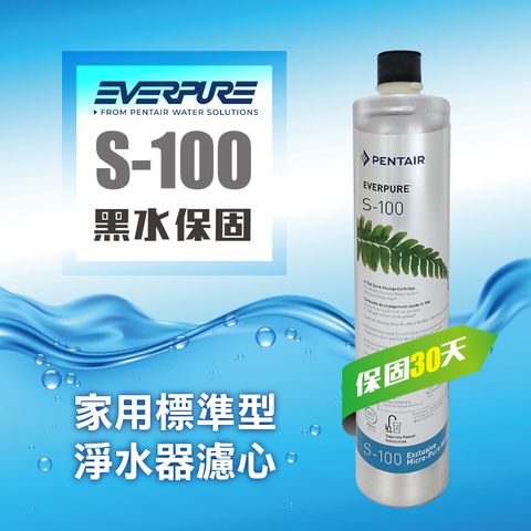 EVERPURE S100家用標準型淨水器濾心(S-100濾芯)★請認明公司保固貼紙，享黑水保固★